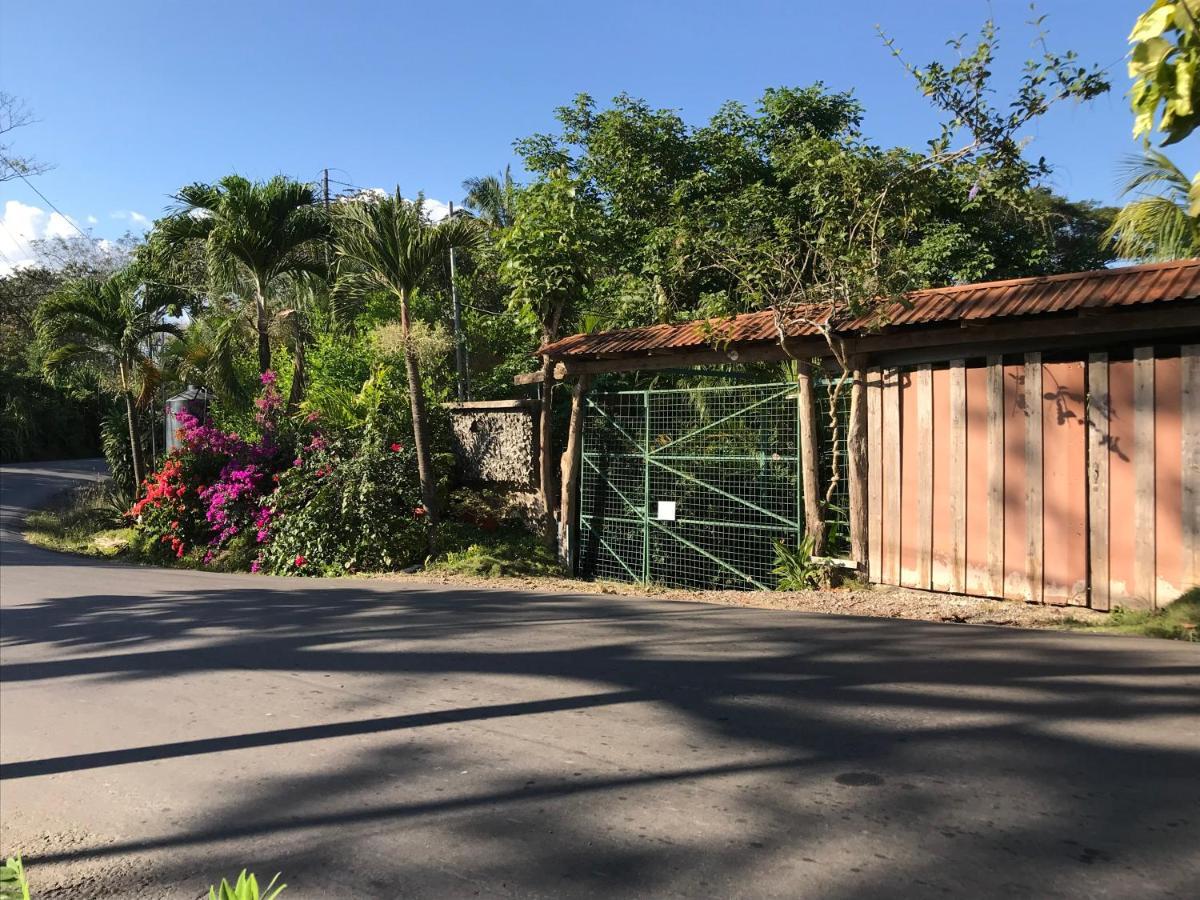 Flor De Paraiso Bungalows Montezuma Kültér fotó