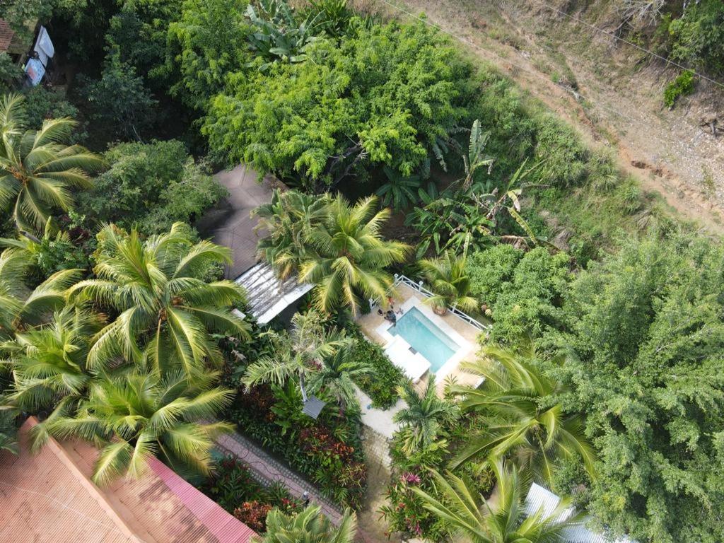 Flor De Paraiso Bungalows Montezuma Kültér fotó