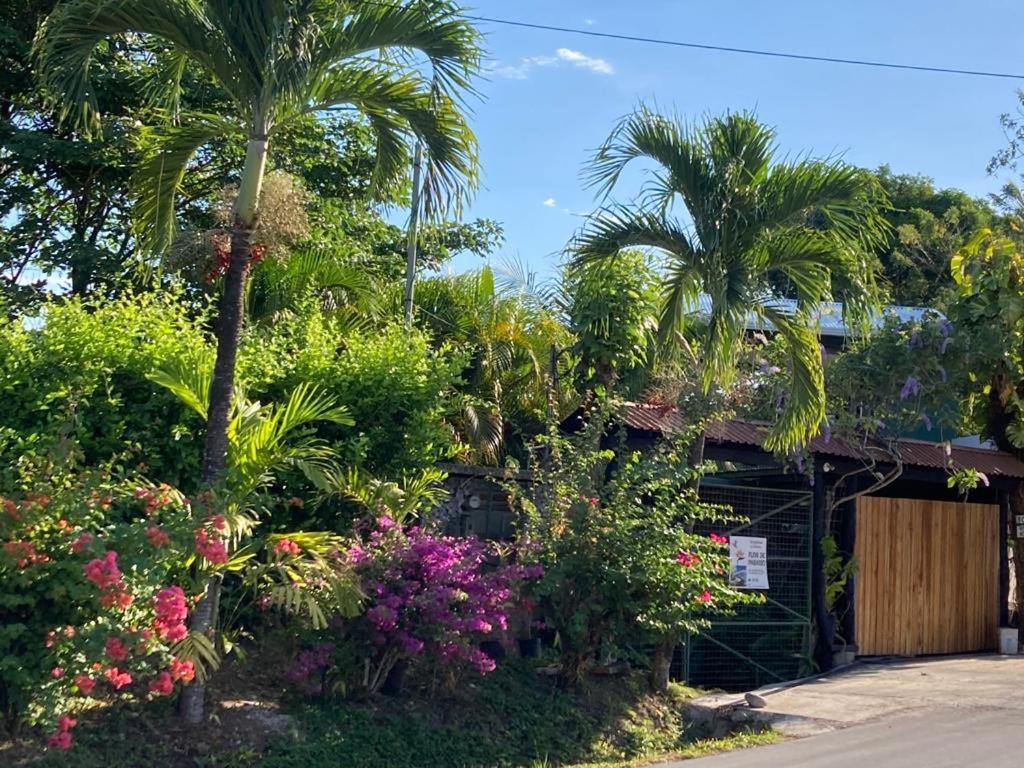 Flor De Paraiso Bungalows Montezuma Kültér fotó