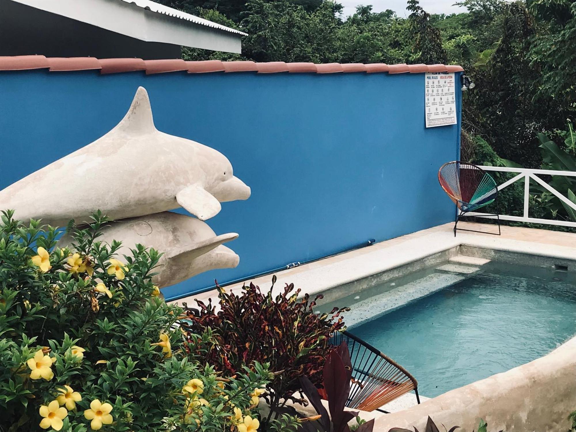 Flor De Paraiso Bungalows Montezuma Kültér fotó